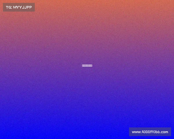 日本赛区叫什么