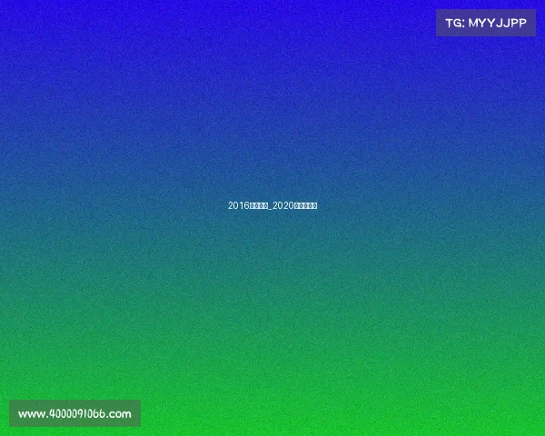 2016搏击赛事_2020年搏击冠军