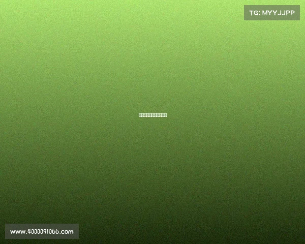 赛事筹备核心阶段有哪些